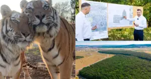 Oradea pregătește mutarea grădinii zoologice în Cihei: prima etapă ocupă 10 hectare