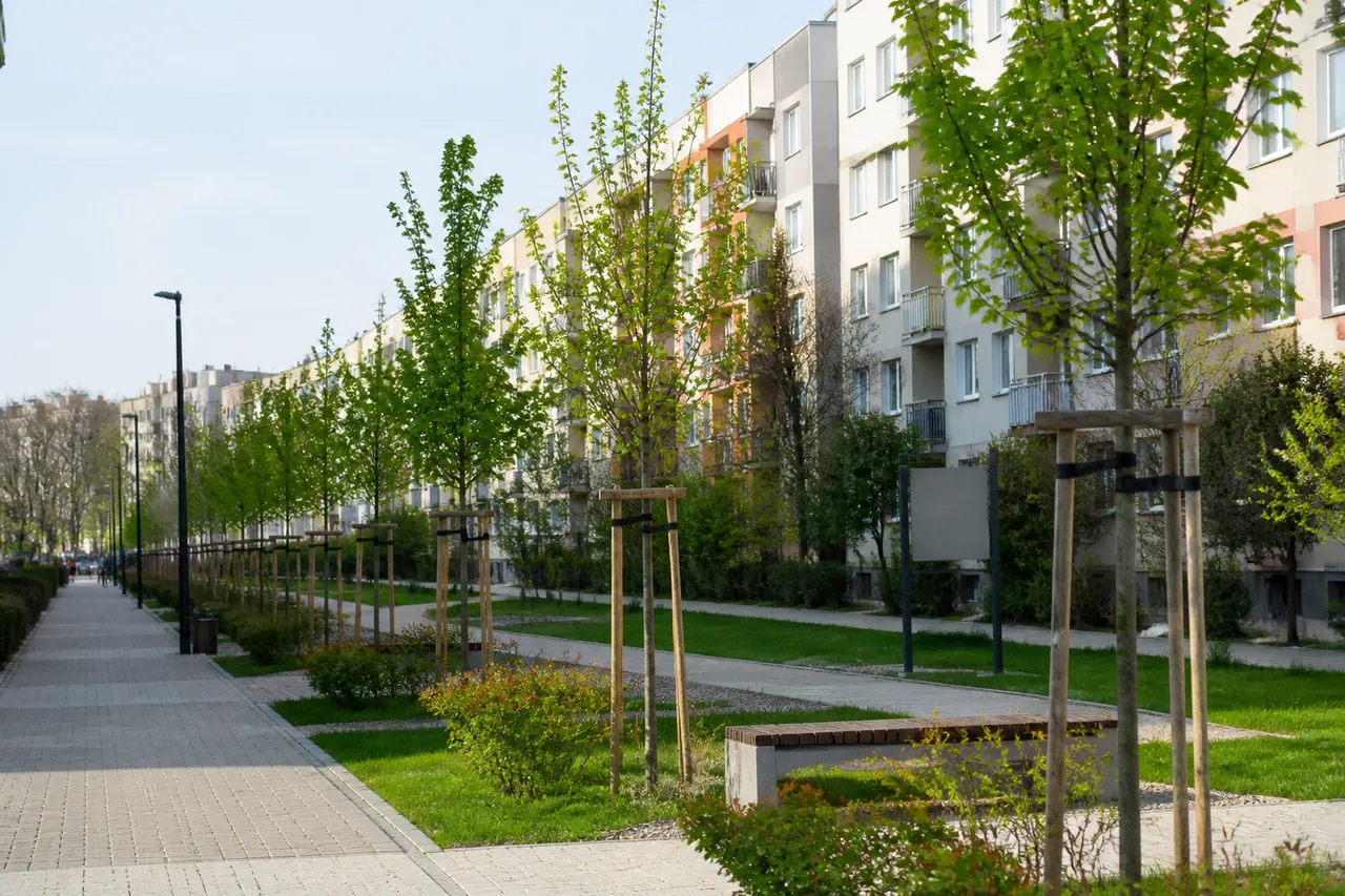 Spațiile verzi domină votul pentru bugetarea participativă 2026 din Oradea